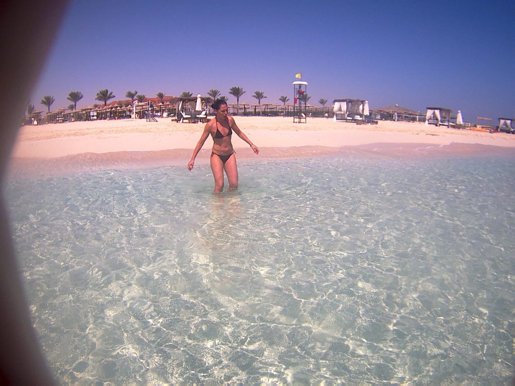 World Journal of Hepatology, image size:1024x768