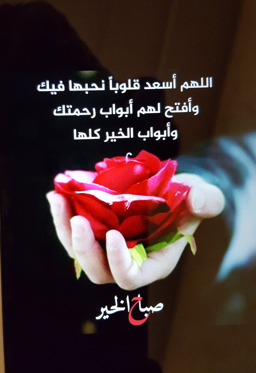 eaacae's tweet image. السلام عليكم ورحمة الله وبركاته 
عدنا بحمد لله.....شكراً لمن يهتم بقراءة صفحتي وشكراً لمن يتواجد
 هنا بشكل دائم ❤  ربي يسعدكم دنيا وآخره 🎋🎋🎋🎋🎋🎋🎋🎋🎋