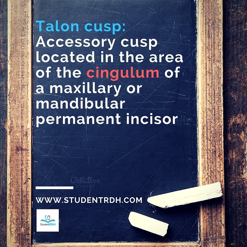 StudentRDH's tweet image. #SaturdayDefinitions #StudentRDH #TalonCusp
