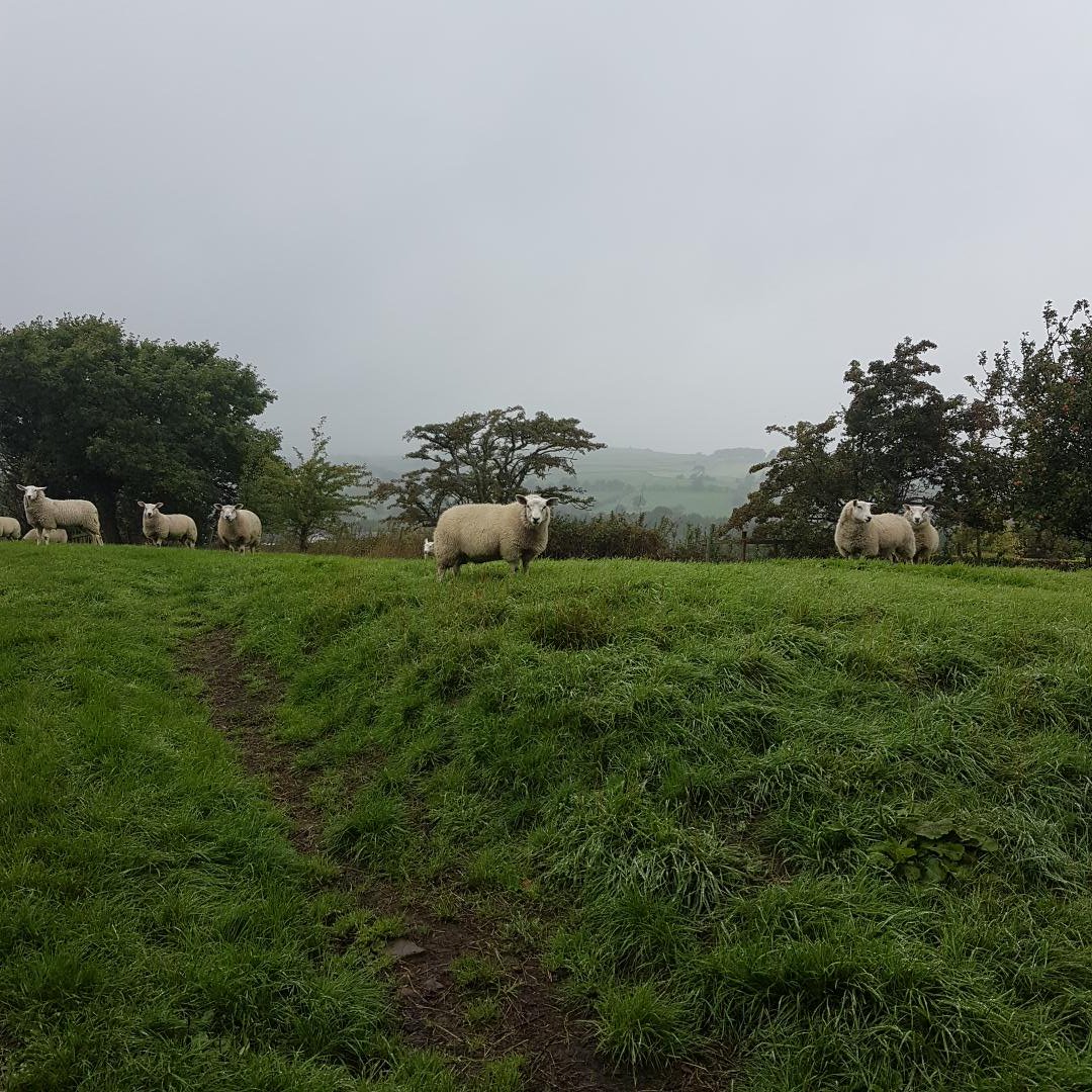 Day 2/3 for the GCSE PE track cycling and rock climbing ...wet and windy #gcsepe #Q3Family #GoodRightTrue #aqagcsepe
