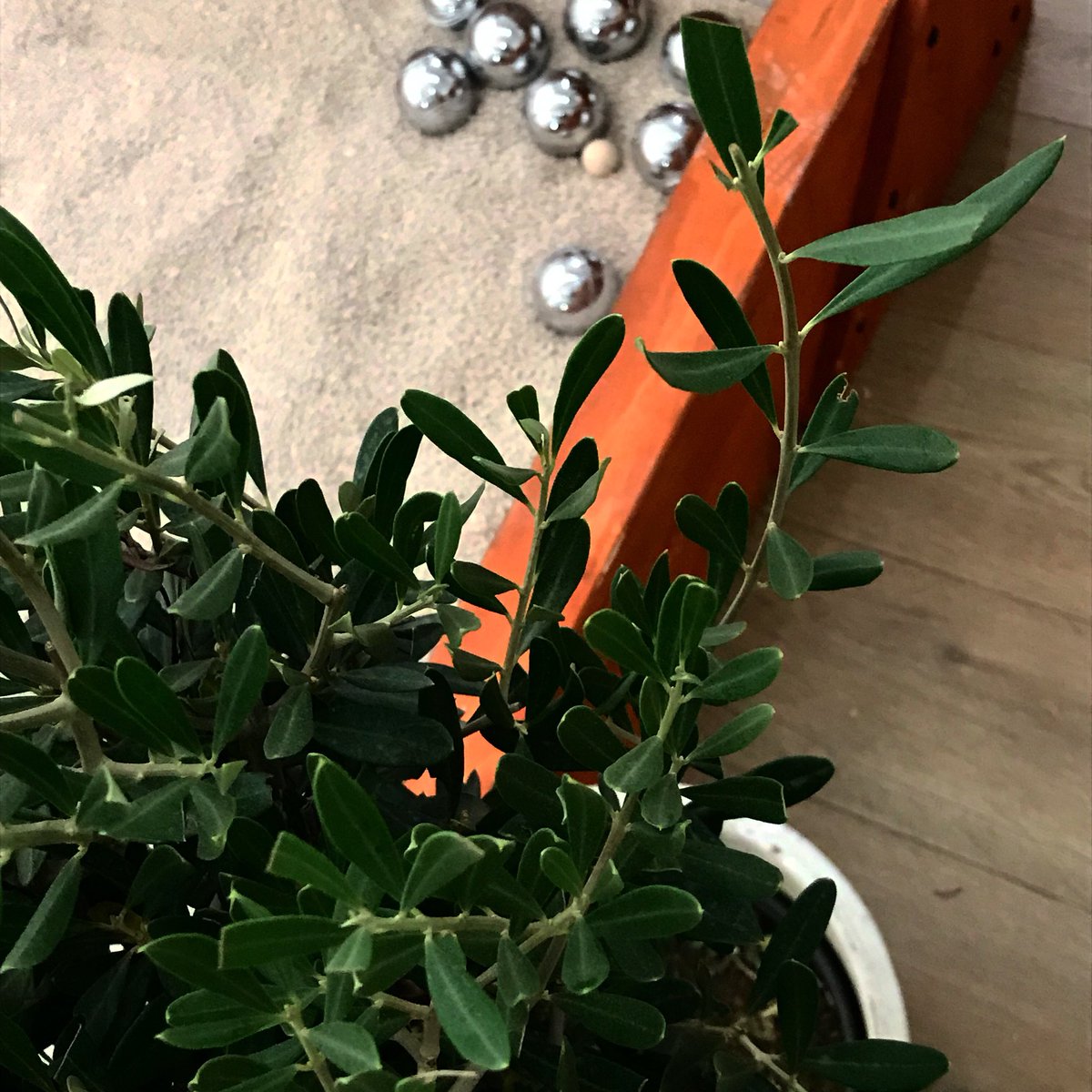 MitraEtemad's tweet photo. Absolument magnifique le pop up store Compagnie de Provence au 38 Rue Quincampoix paris 4ème ! Un petit bout de Provence a paris 😍 au rdv cigales et pétanques et le parfum du Sud ❤️
#Happypopupstore #CompagniedeProvence #Sortiraparis #Marseille #Paris https://t.co/fI4a9D0Zij