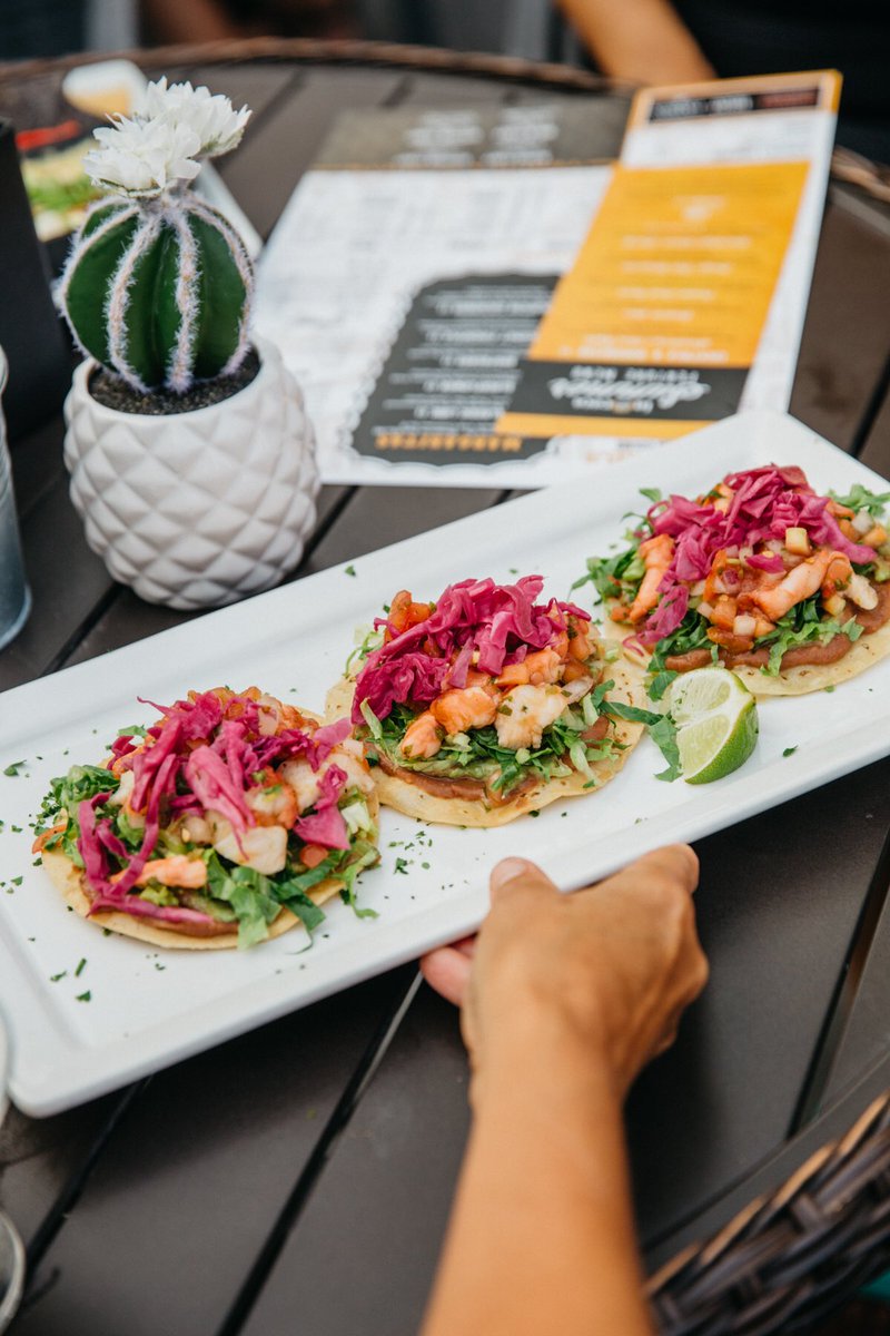 larocawinnipeg's tweet photo. The Summer Features menu can’t stay forever...make sure you try the Tostadas (and the Rhubarb Sour) before they’re gone!

#larocawinnipeg #larocaeats #summerfeatures #tostadas https://t.co/HEDKaawkYf