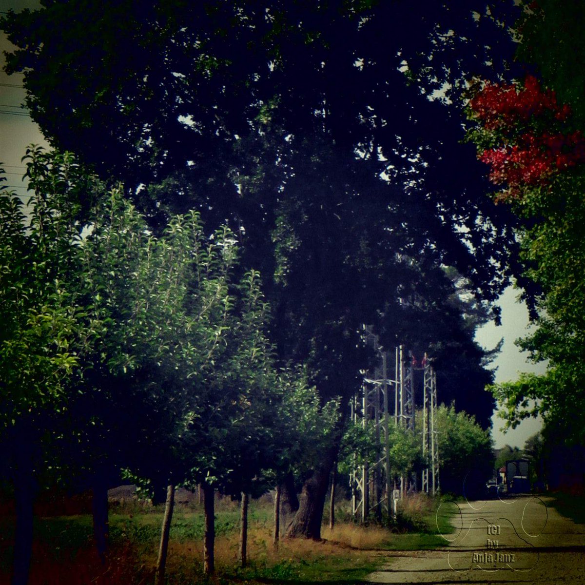 #september #walk #afternoon #filter