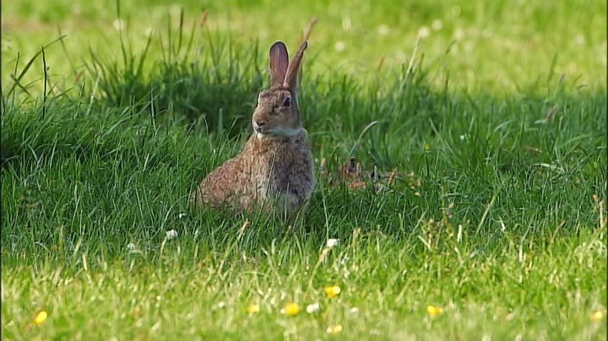 O Xrhsths ヨーロッパ旅行 情報部 Sto Twitter 本日 9 9 夜６時 Tbs 世界遺産 絶景をすくったピーターラビット イギリスの湖水地方 イギリス ピーターラビットのふるさとで知られる イギリス湖水地方 40もの湖と牧草地が広がる美しい風景は いかに守