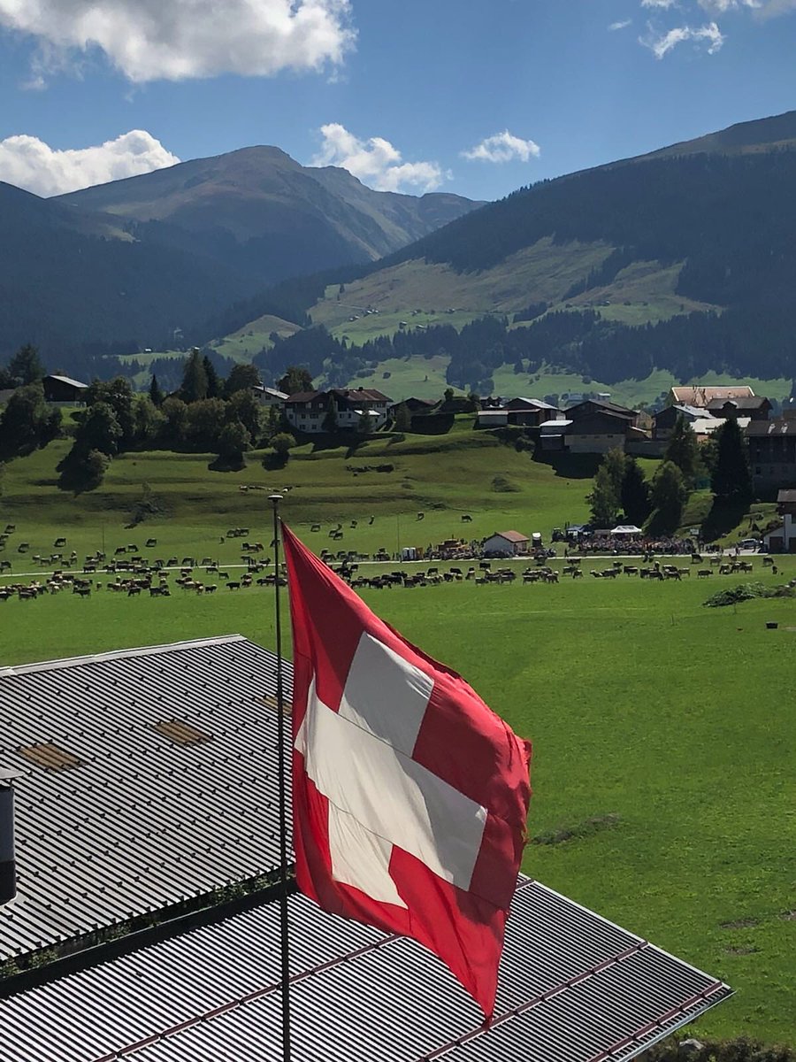 SilviaWetter's tweet photo. Alpabzug in Brigels, was für ein entspannter Tag in den Bergen.
#Alpabzug #Scargada #Brigels #Breil #myswitzerland #graubünden
@MySwitzerland_d @Graubunden https://t.co/uA2pZo7qvq
