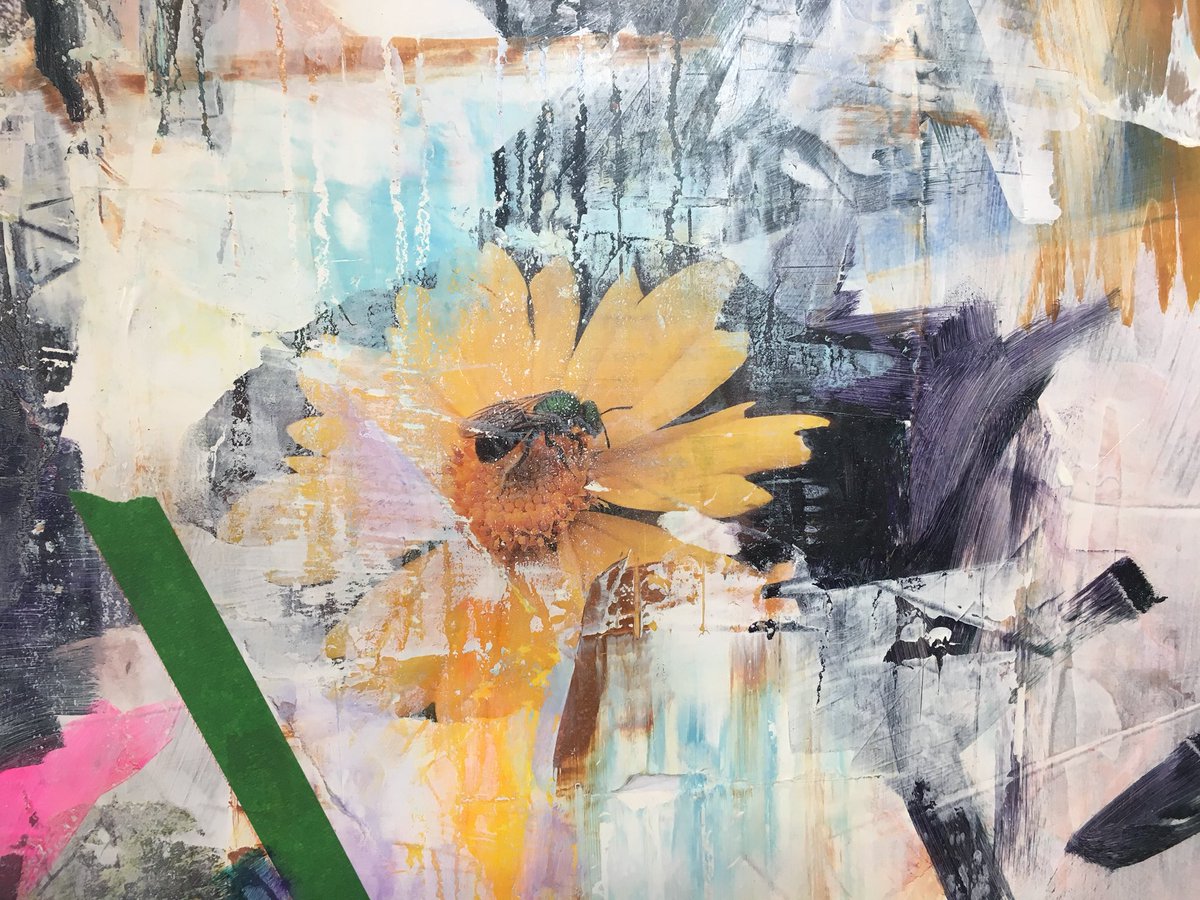 alicetsp's tweet image. Very special time with #KIAM doing image transfer for the #YourWard project #GuelphProud