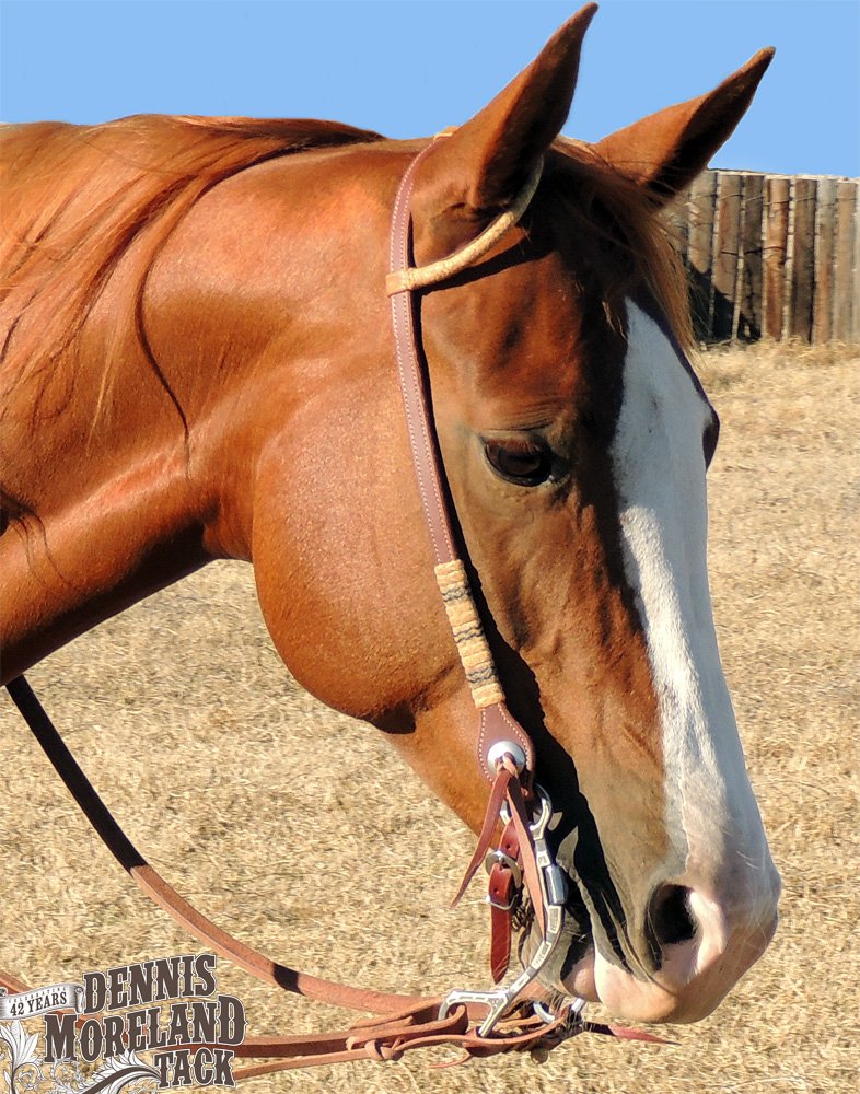 DmtackT's tweet photo. My One Buckle Headstall with Rawhide & Black Interweave is on sale! Usually 264.99, get it now for just $224.99!
Christmas is just around the corner.....it will be beautiful under the tree and proudly used for years & years. More info: https://t.co/f4MMQreaEq
#DMTack #CowboyTack https://t.co/TfT2kHFRa0