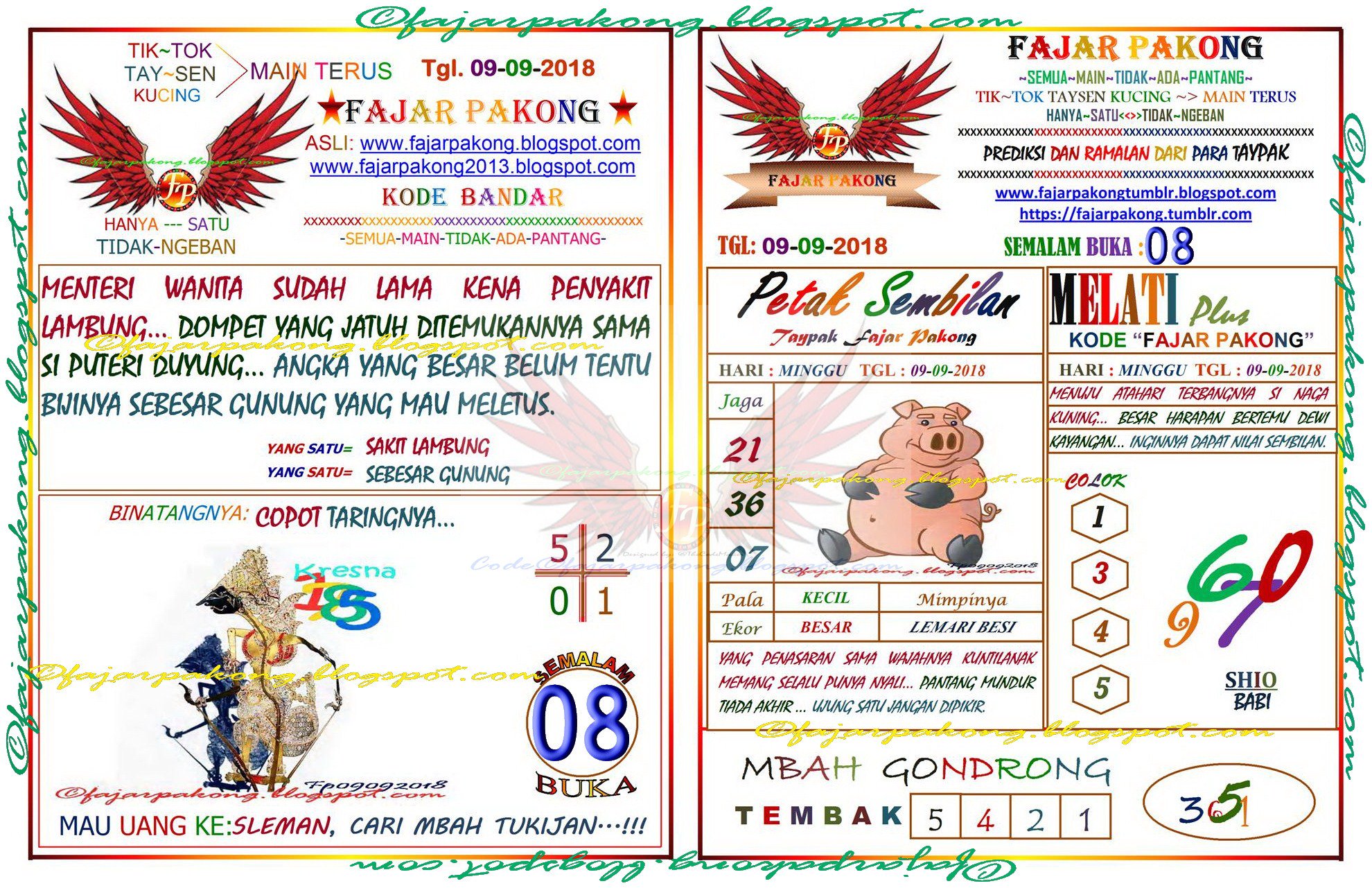 Gopy Nuo (Gopynuo) - Profil | Pinterest