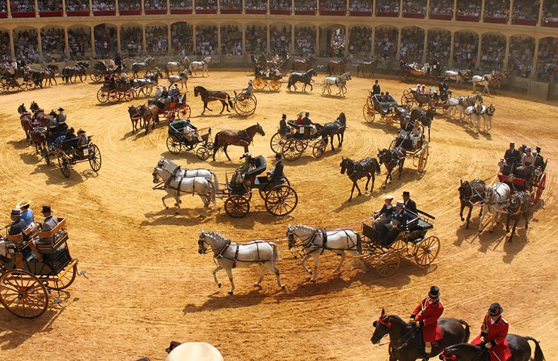 Majestuoso XLII Concurso Exhibición de Enganches de Ronda
informacionecuestre.com/majestuoso-xli…
<a href="/NievesCalero/">Nieves Martín Calero</a> <a href="/EnganchesAND/">Enganches Andalucía</a>