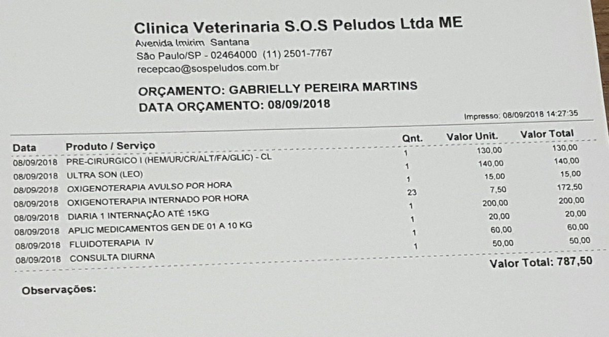 arwenartz's tweet image. gente, minha gatinha foi internada com suspeitas de hérnia diafragmatica, e nós não temos condições de pagar tudo. cada dia da internação aumenta R$200 e ela vai ficar por dois dias que da R$987. nós fizemos uma vakinha, quem puder ajudar por favor ajude, se não só o rt ajuda :(