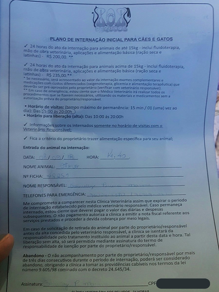 arwenartz's tweet image. gente, minha gatinha foi internada com suspeitas de hérnia diafragmatica, e nós não temos condições de pagar tudo. cada dia da internação aumenta R$200 e ela vai ficar por dois dias que da R$987. nós fizemos uma vakinha, quem puder ajudar por favor ajude, se não só o rt ajuda :(