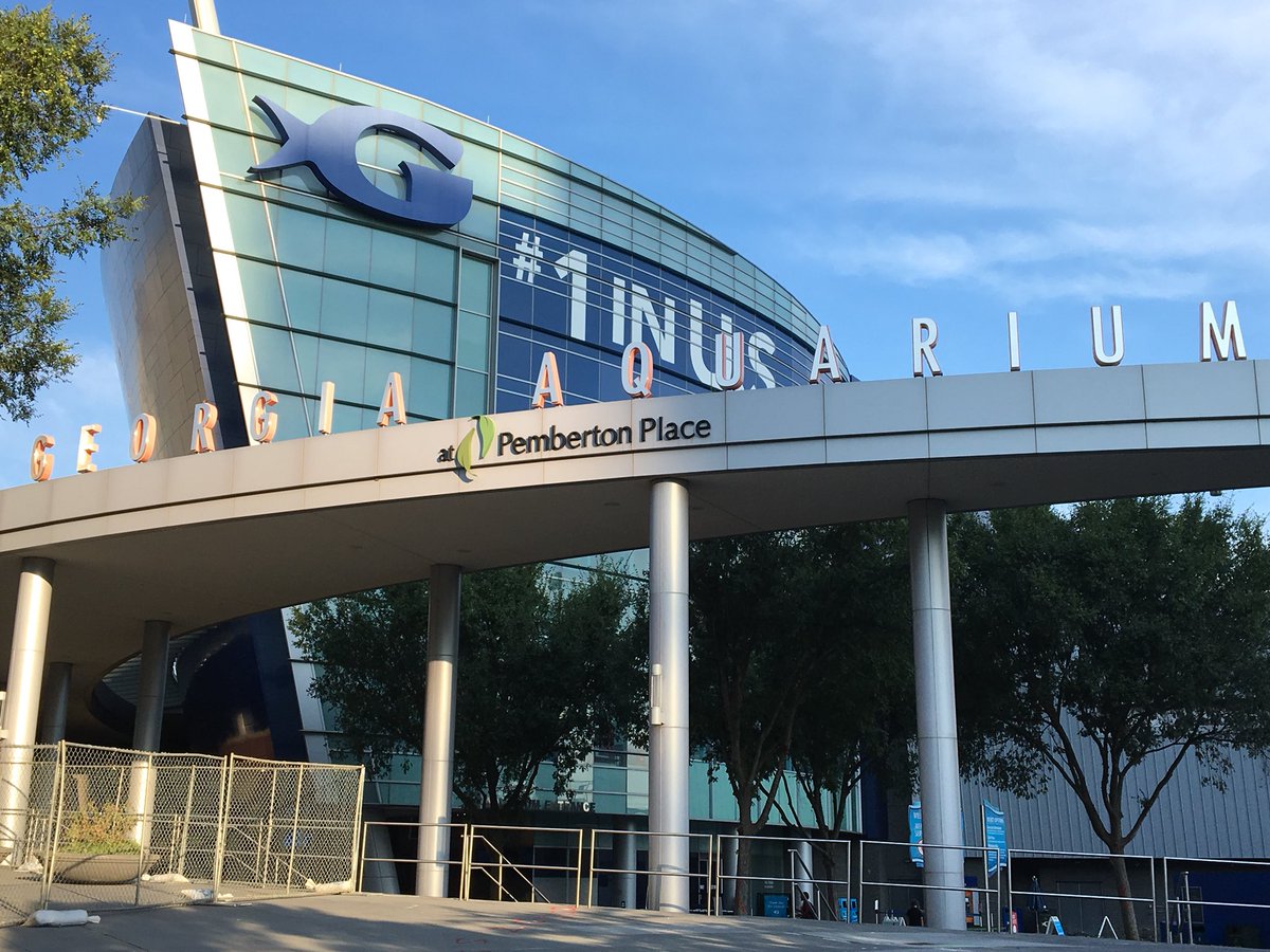 educatorwhoblog's tweet photo. We ❤️ Educator Day at the #GeorgiaAquarium #freeadmissions #educator #grateful https://t.co/2QQJE1bCR7