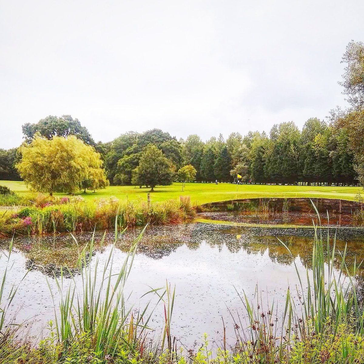 <a href="/BulburyGolf/">Bulbury Woods GC</a> 3 counties league champions 🏆