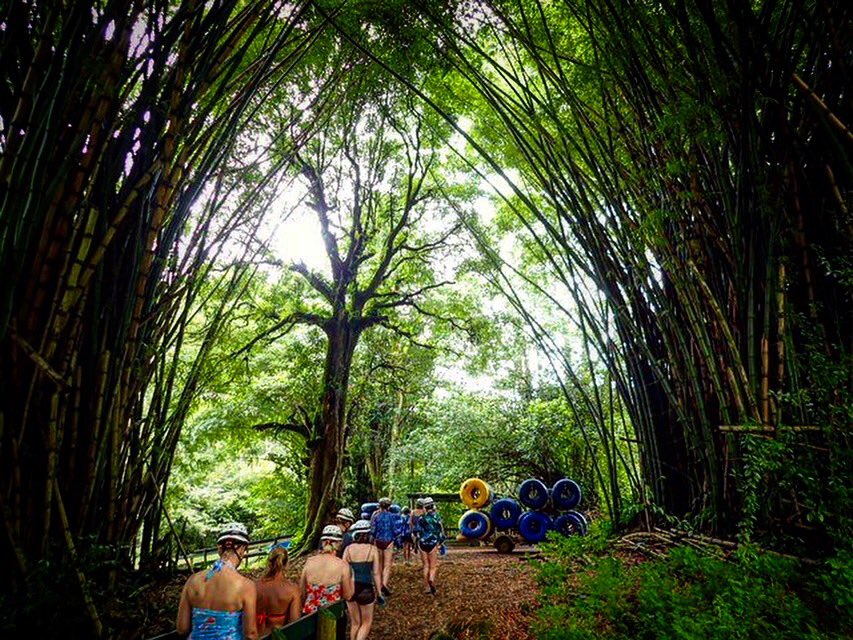Our bamboo forest provides the perfect gateway to adventure!🙌🏾✨🏞❤️🤗🤙🏾 #kauaibound #tubingkauai #kauaitubing #kauai #lethawaiihappen #vacation #explorehawaii #paradise #adventuretime