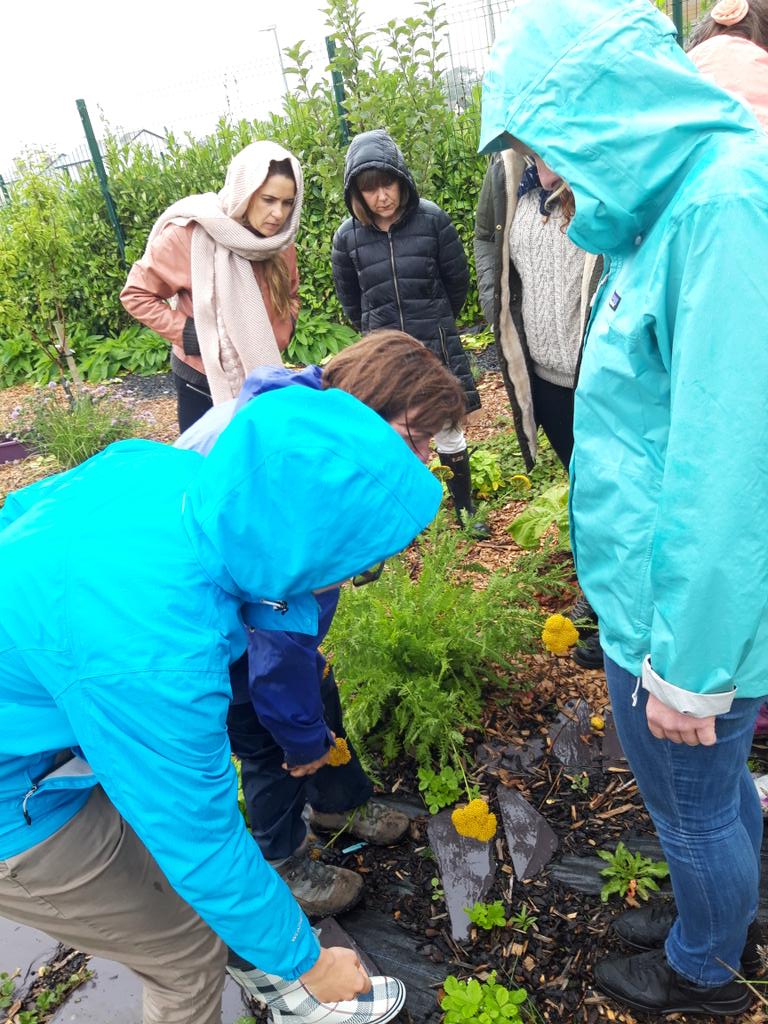 Some of the <a href="/climate_ambass/">Climate Ambassador</a> crew with @Mayococo and @ediblewestport hatching plans to save the world 🌍 #ClimateAction #LovelyDay