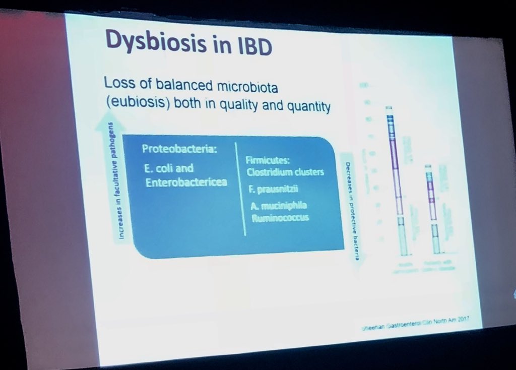 ibd_reporter's tweet photo. Great talk on #FMT in #IBD by @DrJessicaA at #IBDBoston: promising in #UC, more RCTs in #CD https://t.co/tTvzZADq62