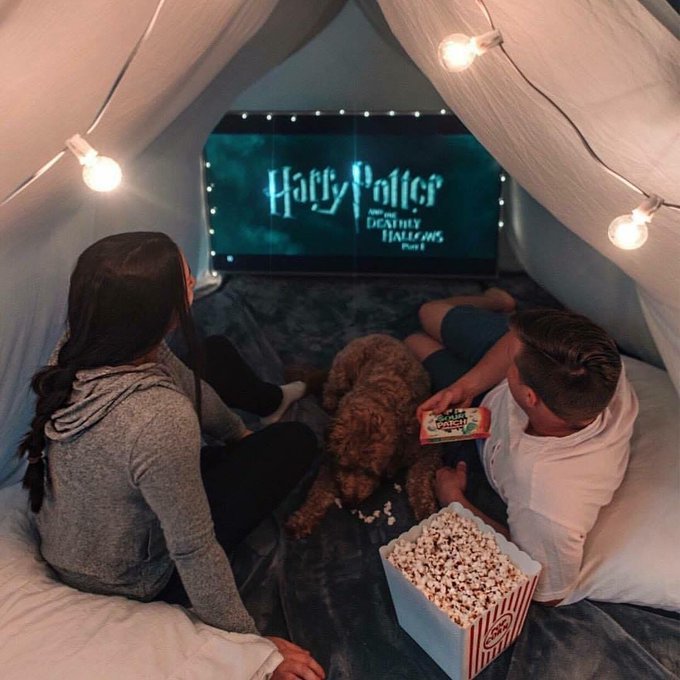 ProfesorSnape's tweet photo. Felicidad, nivel: https://t.co/Dpfat17naT