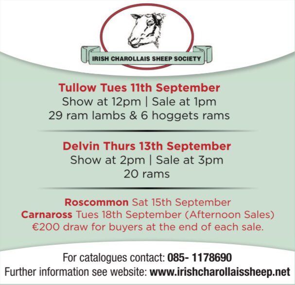 Irish Charollais Sheep Society tweet media