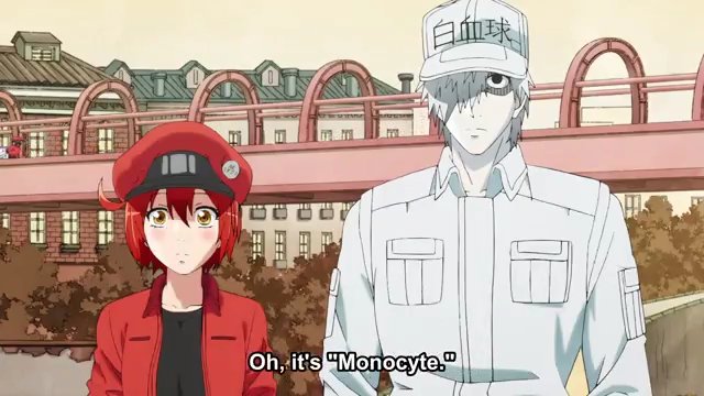 working manga sub indo working manga sub indo