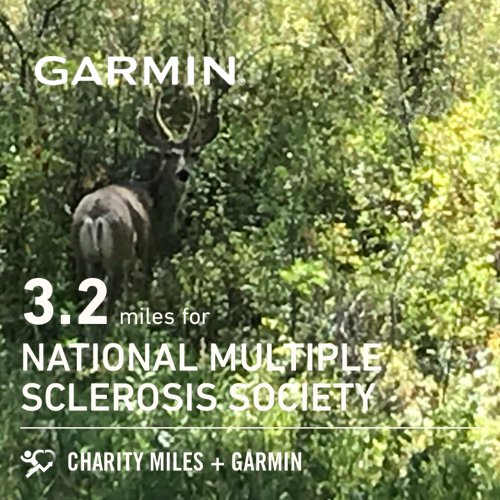 TeamM4MM's tweet photo. 3.2 @CharityMiles for @mssociety. Thx @Garmin for sponsoring me. #BeatYesterday https://t.co/OtVjqnf3x7 https://t.co/LH2EeTCFIH