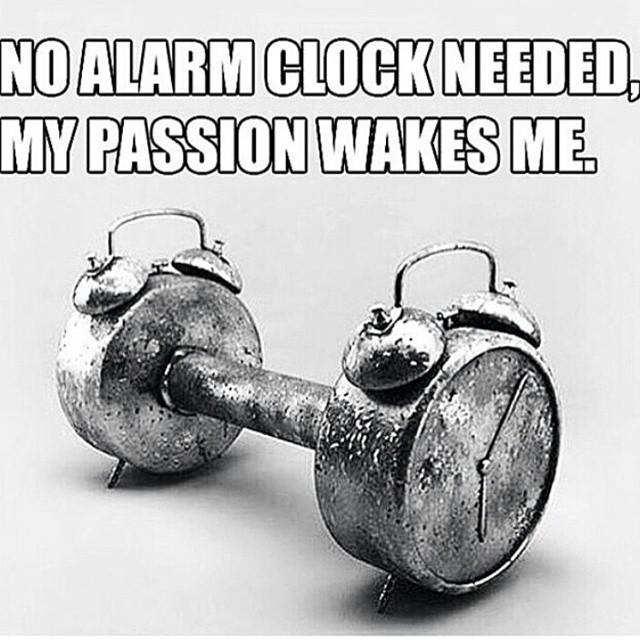 Revive Music tweet media