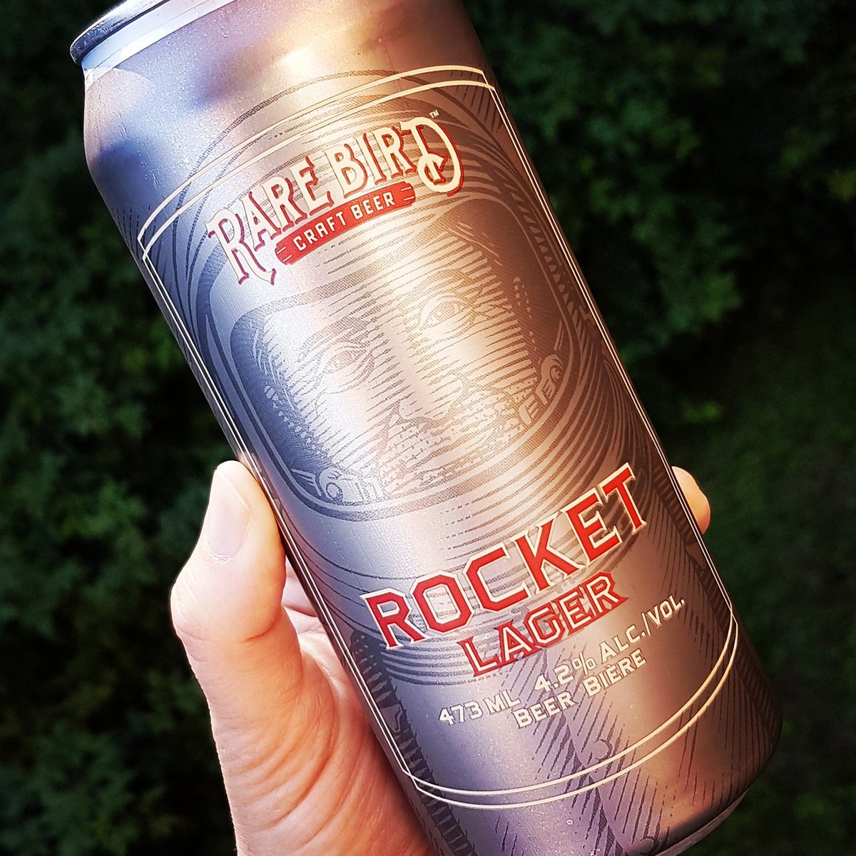 Sarah Rums tweet media