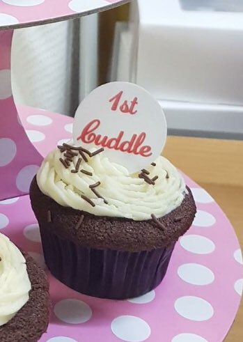 FionaLawsonNHS's tweet photo. Thanks to @Neonatal_ed and crew for representing the neonatal unit at #UHSopenday @UHSFT today. Kelly, a consultant, made these lovely-looking cakes with baby milestones to illustrate our work. https://t.co/nmDp6G1lGa