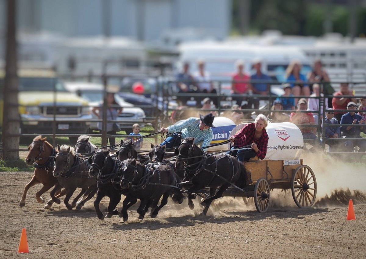 PhotoSquared's tweet image. No fair is complete with the mini-chucks! #fallfair #salmonarm @shuswaptourism @SalmonArmBC @HelloBC