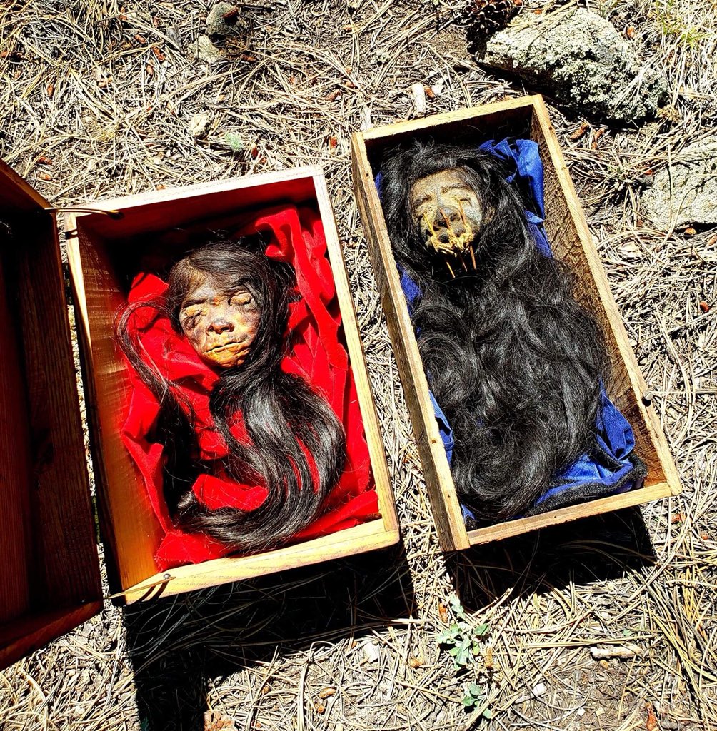 Real Shrunken Heads Oddities & Curiosities (@RealOddities) / Posts / X