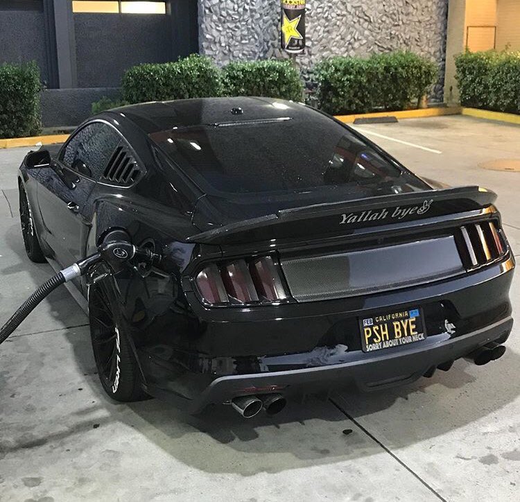 only_mustangs's tweet image. Thirsty 😈⛽️