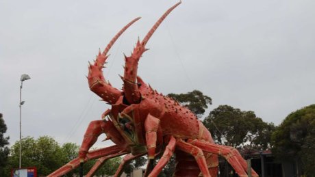 Locals' prayers answered as Larry the Lobster stays in town ab.co/2wYKSJE