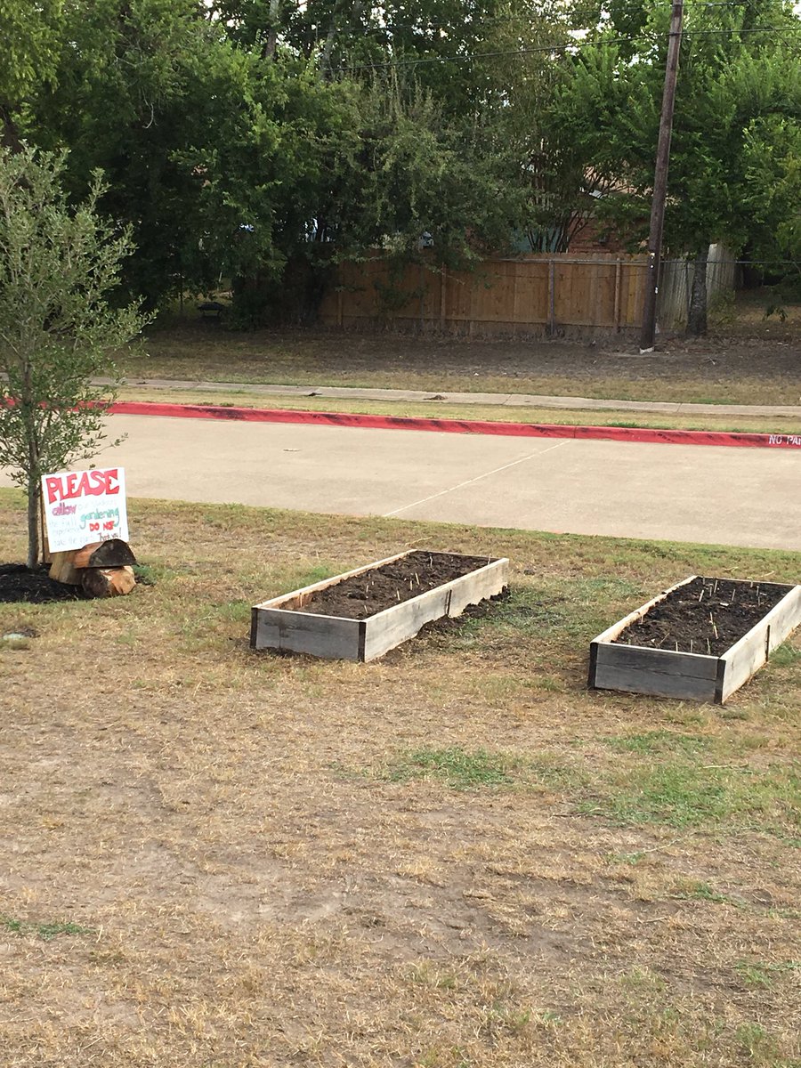 KatinaOsth's tweet image. We&apos;ve planted our radishes! Ty hey should terminate in 10 days and be harvested in one month! The kids were excited! #SKawesomesince1967 #CSISD #jrmastergardener #science