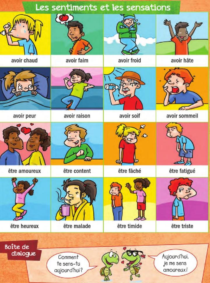 Les sentiments et les sensations.