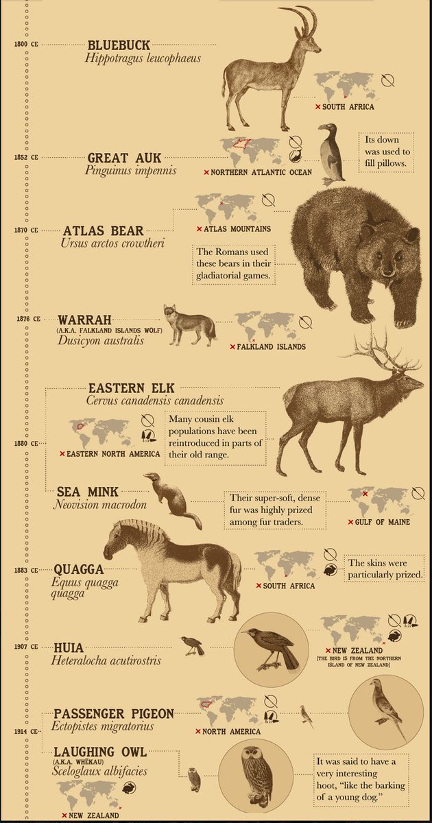 Extinct Animals Twitterren: Extinct Animals Twitterren: