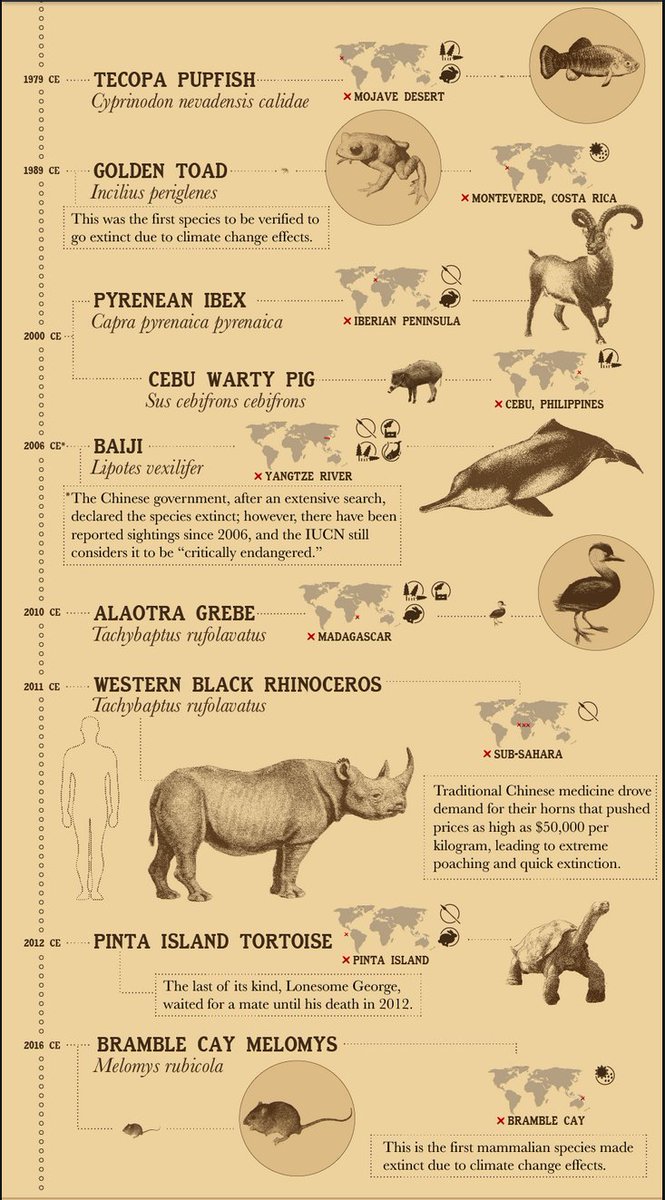 Extinct Animals Twitterren: Extinct Animals Twitterren: