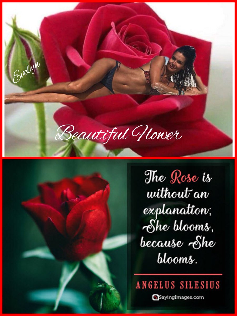 Sexy Sunday <a href="/Angie_Harmon/">Angie Harmon</a> “A Rose can live among the thorns...and yet never be injured by them” <a href="/vbbneighbor/">Christina B.</a> @AngieHInspirat1 @admirable_angie <a href="/andypandy184/">Andy Pandy B.</a> <a href="/doris1530/">Doris Guti</a> <a href="/YvonneMarti2/">YvonneMarti</a> <a href="/LenaDalli/">Helene. 🔴 Lena #1FIRST</a> @LulabelleHo @@Jessie_Rizzoli <a href="/jalberg8/">James</a> <a href="/TeamTwangels/">TeamTwangels</a> <a href="/BellaMi48013078/">BellaMia</a> @