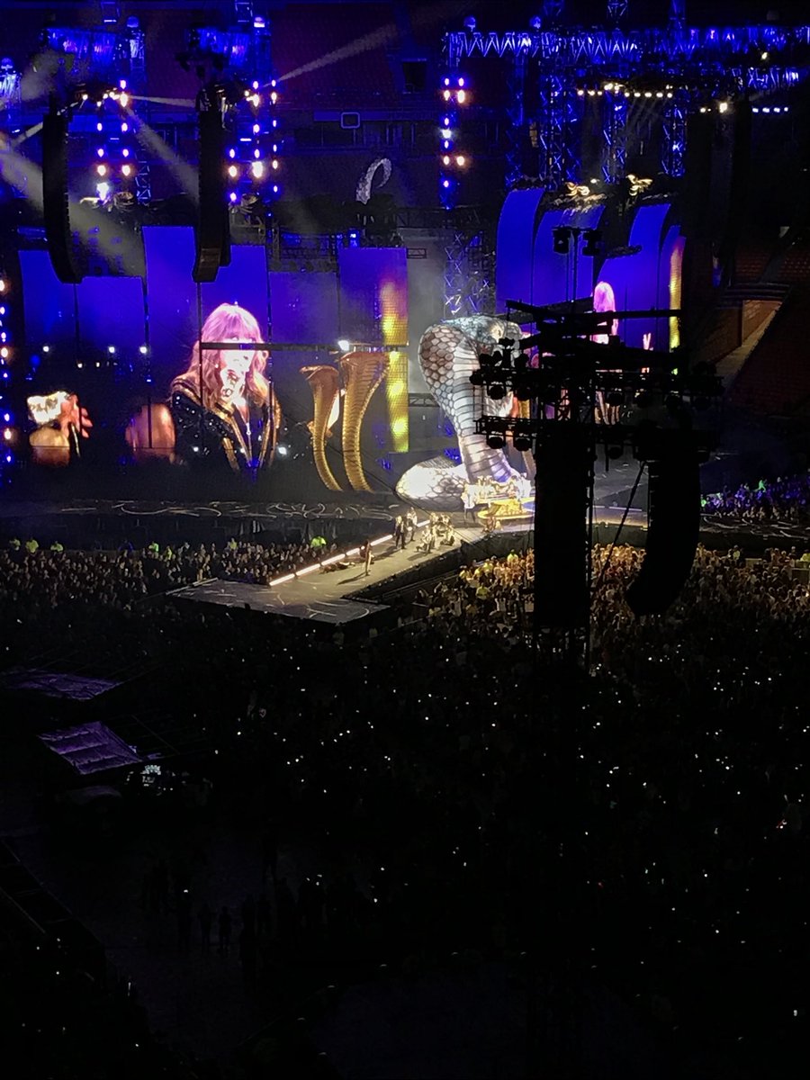 haley hope ⛲️🦔 tweet media