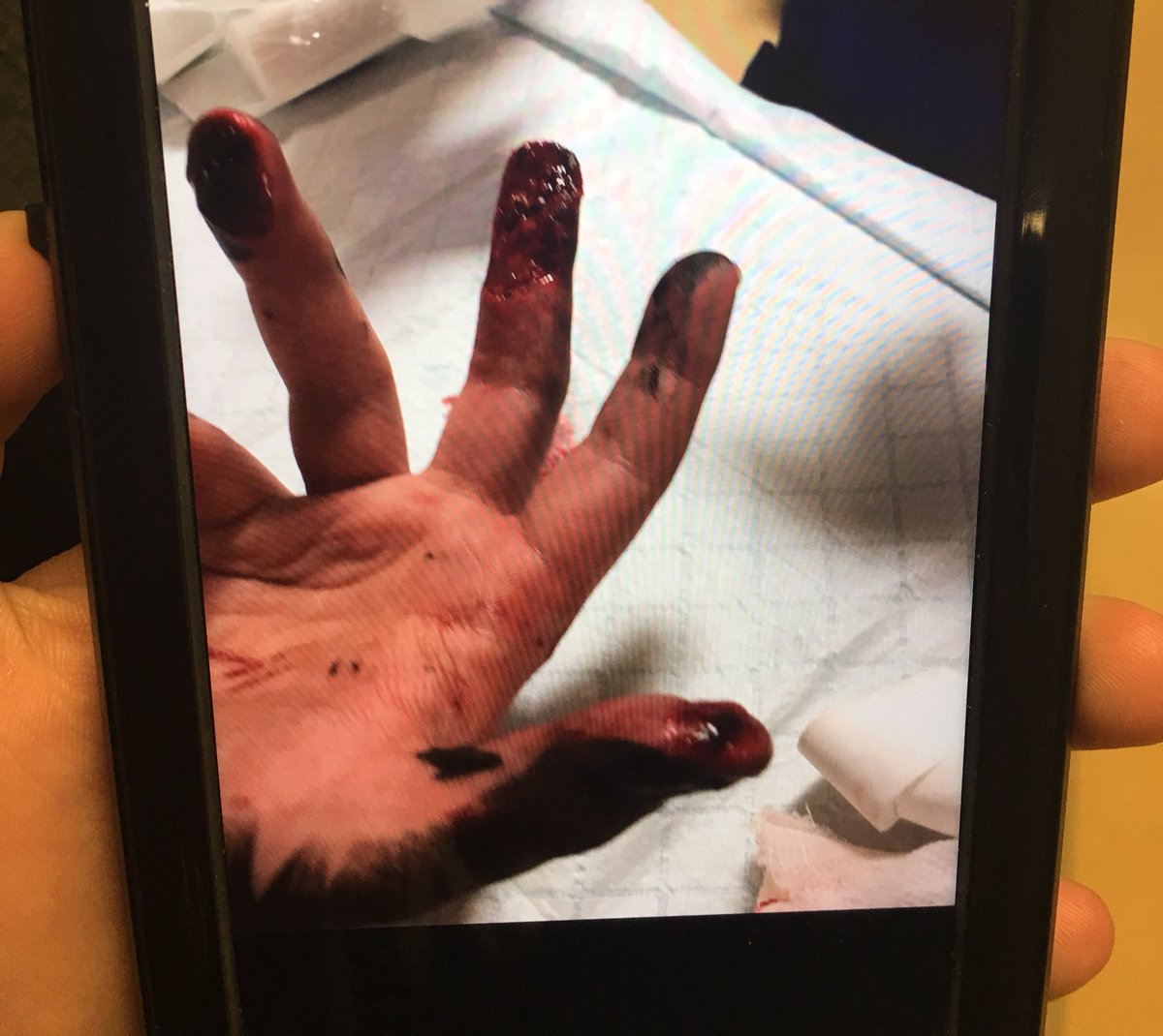 renea_shyann's tweet photo. Rt or have bad luck all year https://t.co/H977Po7M2n