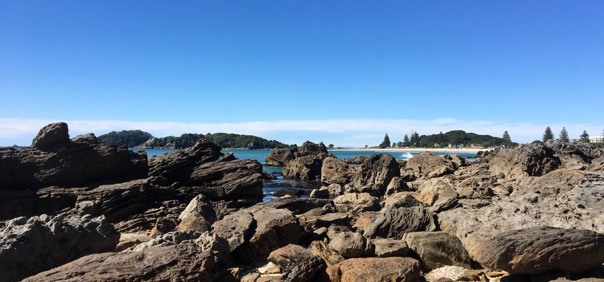 askneilm's tweet photo. Incredible first few days back in #NZ plans in action and ready to make those moves #projectachiever https://t.co/JJJGGD8lF3