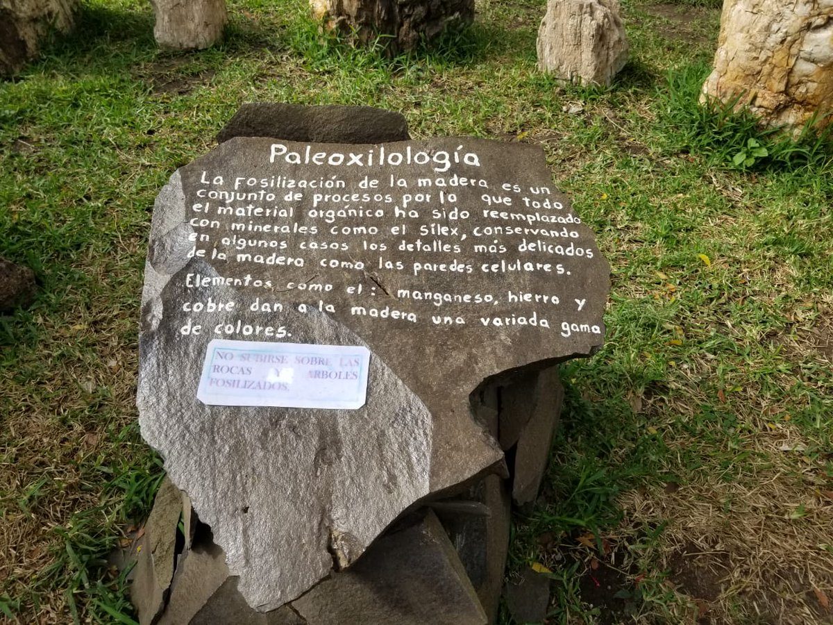 YadeCastillo1's tweet photo. SMANic21 Proyecto Geoparque Río Coco, en Madriz. Tienen que venir a conocer más sobre esta iniciativa turística que se impulsa en el norte de nuestro país.#NicaraguaQuierePaz Incluye un recorrido por el museo y la explicación del proyecto #NicaraguaQuiereJusticiaYPaz https://t.co/Dscvr0Sk14
