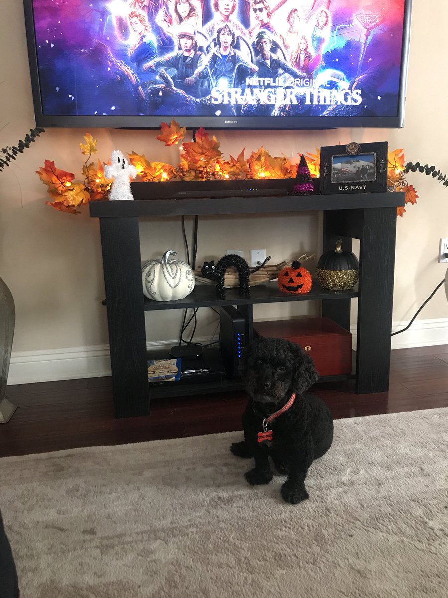 ELynn511's tweet photo. #Fall decor in 80degree weather 🖤🧡 #pumpkineverything #notsweaterweather #SanDiego #ispy #LarryDavid https://t.co/axQGcVJBEs