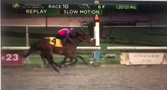 5VRacing's tweet photo. @anayvettemora @dormellostud #Jonjoli volando gana la última de @hipodromomex muy bien #JonJi hermosa https://t.co/wKajmuZTQ2