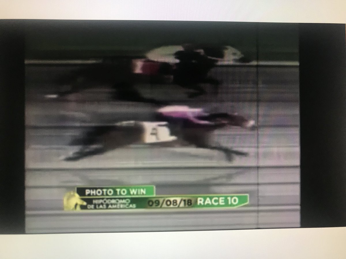 5VRacing's tweet photo. @anayvettemora @dormellostud #Jonjoli volando gana la última de @hipodromomex muy bien #JonJi hermosa https://t.co/wKajmuZTQ2