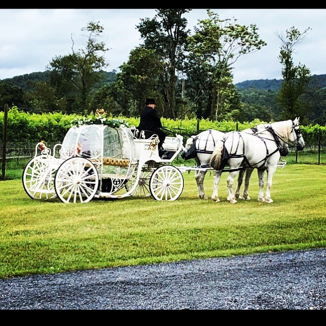 Sheri Redmon (@sheritage_) | Twitter