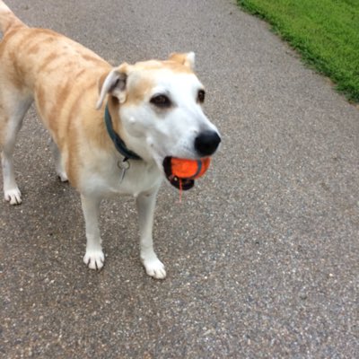 MarkFor03371243's tweet photo. #NewProfilePic https://t.co/eVUvjaBIsg