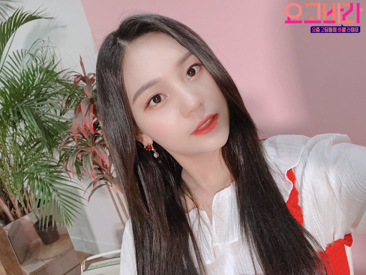 SBS MTV 요고바라 tweet media