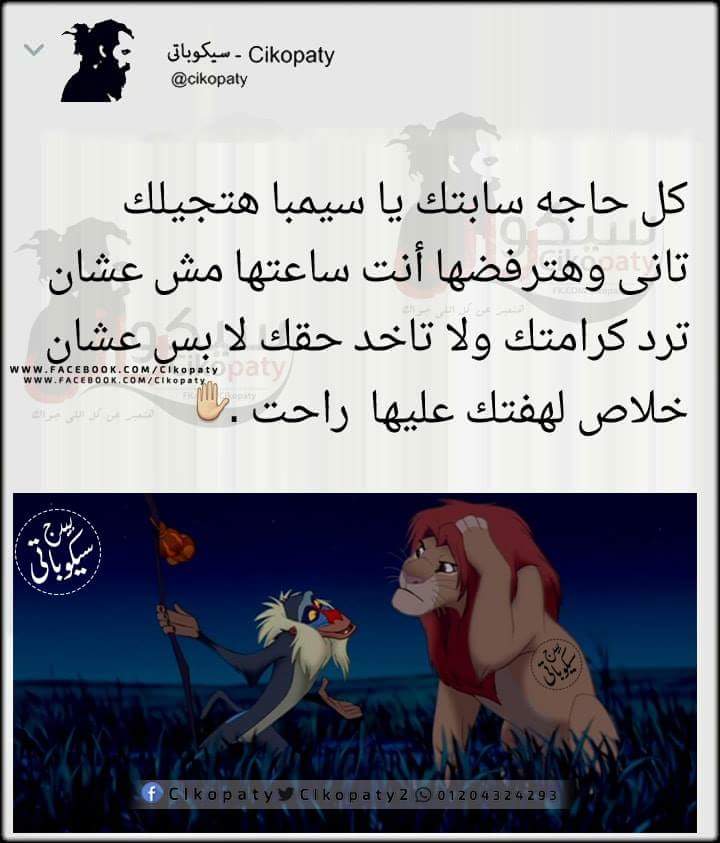 Gege (@gege40204509) on Twitter photo 