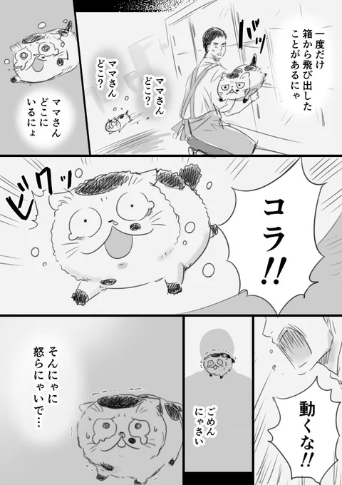 【猫漫画】おじさまと猫　「不思議な生き物」 