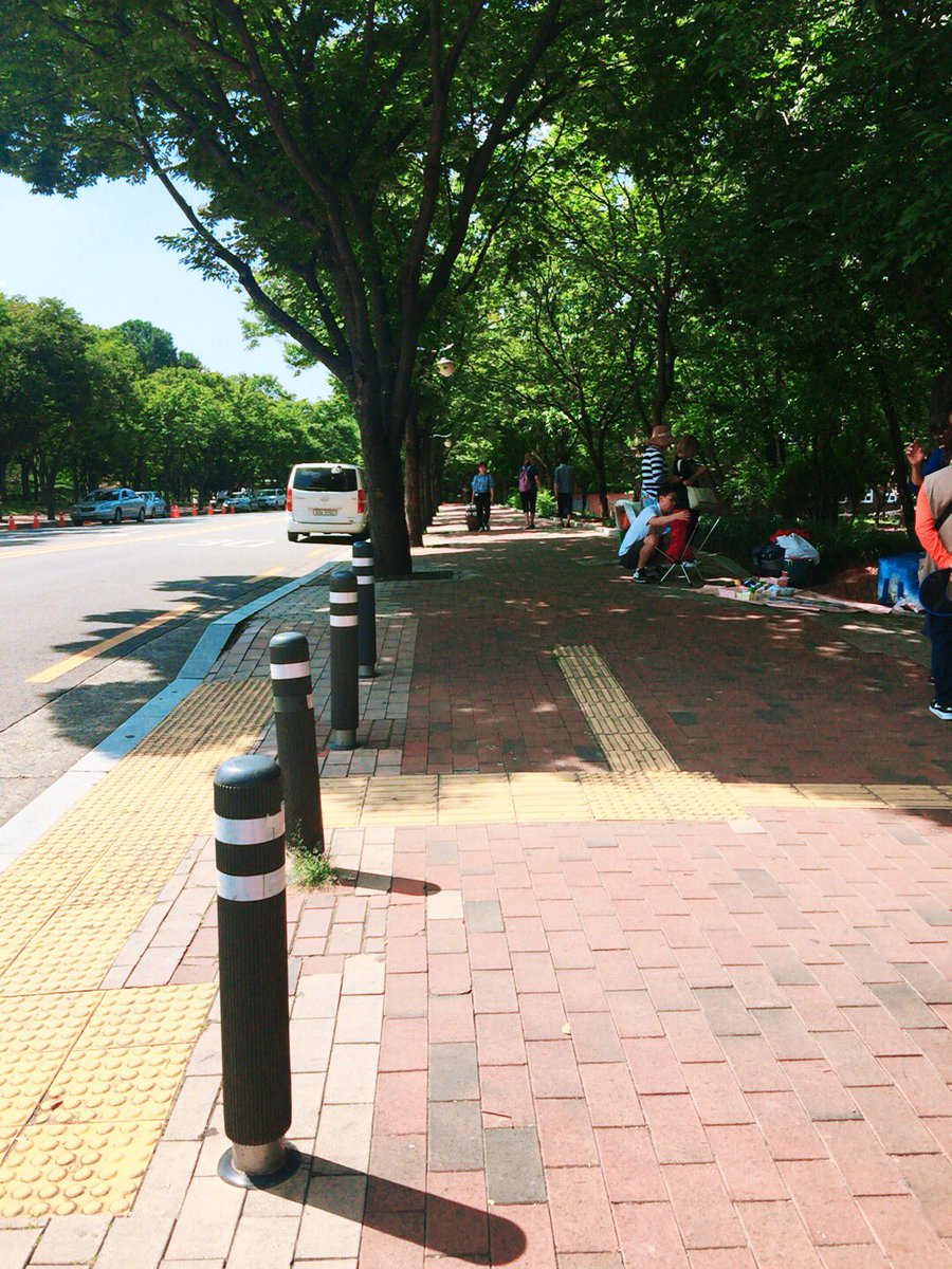 뽀쟉모자 tweet media