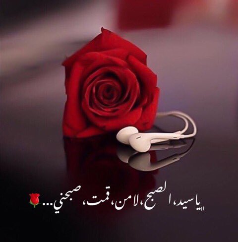 hind_rr's tweet photo. صباح الورد والسعاده عليكم🌹 https://t.co/cKcIhUCwSz